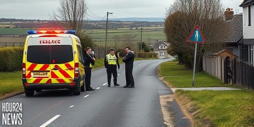 Pedestrian Dies in Co Carlow Road Crash as Gardaí Investigate