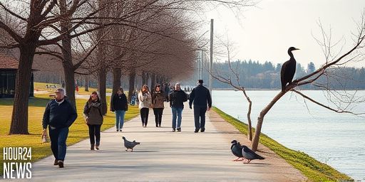 Cormorants on Toronto Islands: Odor, Damage, and Solutions