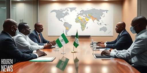 ‘Dangerous narrative’ — FG says Trump’s comments emboldened violent groups