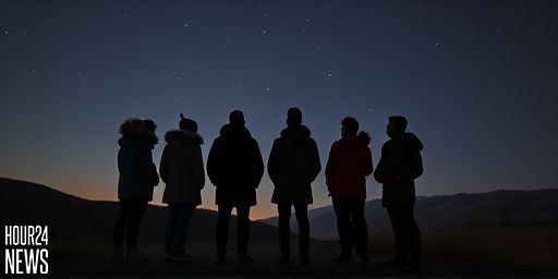 What to Expect as the Leonid Meteor Shower Peaks Next Week