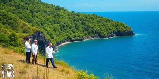 How Forests Kicked Off Life in the Deep Sea: A Deep-Time Evolution Tale