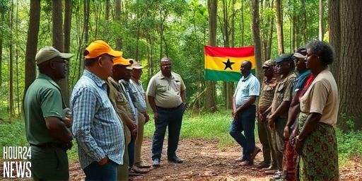 Forestry Commission Urges Tougher Action on Illegal Miners After Hwidiem Clash