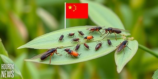 Mitochondrial Genome Evolution in Invasive Scale Insects: Large tRNA Truncations and Tandem Repeat-Driven Gene Rearrangement