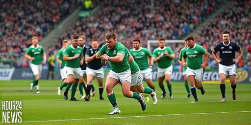 Ireland vs New Zealand: Farrell laments mental lapses after All Blacks win
