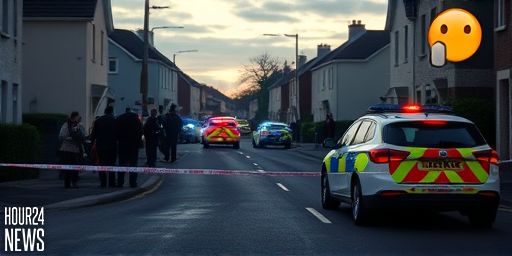 Stella Gallagher murder: armed man chases couple from family home