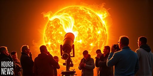 Fiery Plasma Dancing Above the Sun: An Astrophotography Close-Up