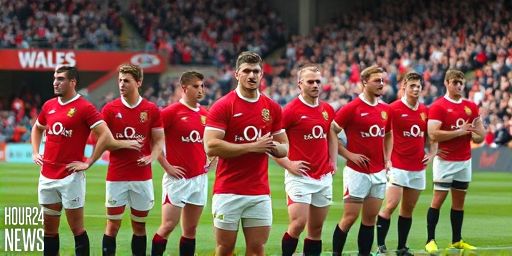 Joe Hawkins Leads Wales Against South Africa: Autumn Test Preview