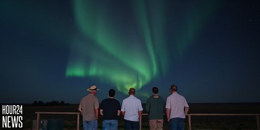 Missed Aurora Australis? Your Last Chance to See the Southern Lights Tonight
