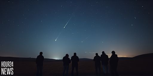 November Nights Are Dazzling: How to Watch the Three Meteor Showers Like a Pro