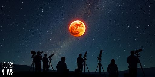 Aging Stars May Be Devastating for Planets: Could Earth Be Next?