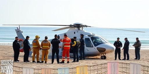 Helicopter Crashes Near Mākara Beach; Pilot Airlifted to Wellington Hospital