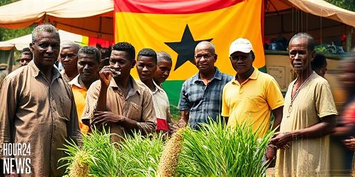 Eat Ghana Rice Campaign Urges Public to Support Local Farmers