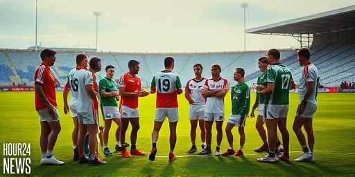 Rookies Rule: Seven from Tipp, Four from Cork Lead Hurling All-Star Surge