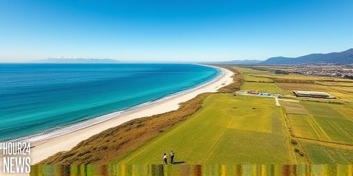 Coromandel Bay Bargain: Beachfront Property for Sale Under $9M RV