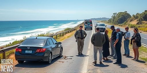 Two men seriously hurt, boy hospitalized as NSW road rage hit-and-run investigation unfolds