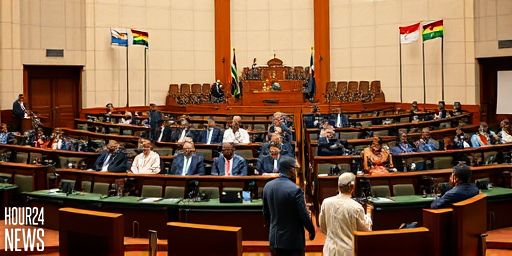 Malawi: Restoring Order — How the New Mutharika Administration Plans to Rebuild Malawi