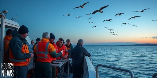 Measuring Underwater Noise: Safeguarding Ireland’s Marine Ecosystems Amid Offshore Wind Growth