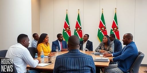 Senators Probe NYS Commercialisation Amid Sh2b Fraud Probe, AHP Praised for Housing Mobility