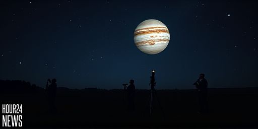 Two Galilean Shadows: Io and Europa Darken Jupiter’s Clouds on Nov. 5