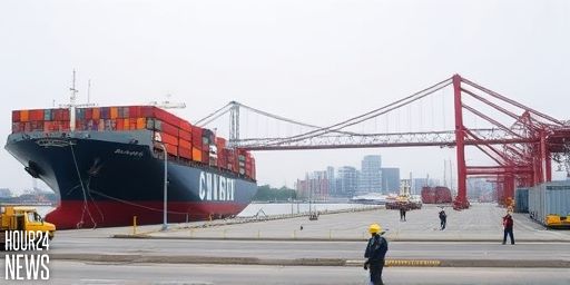 Single faulty wire led cargo ship to crash into Baltimore bridge: Report