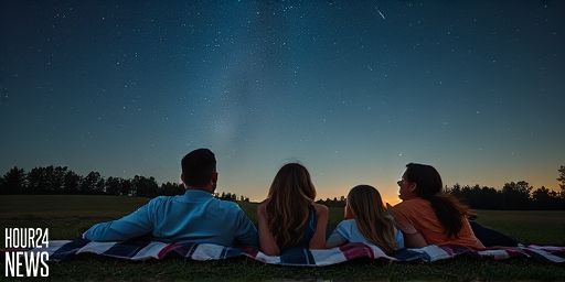 Tonight’s Leonid Meteor Shower: How to See Shooting Stars Across the Sky