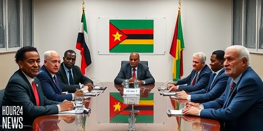 “Development Must Not Be Disrupted”: Zanu PF Leaders Push for Mnangagwa Term Extension