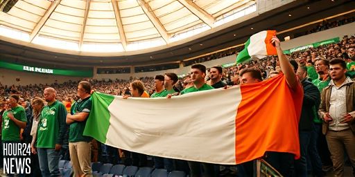 IRFU: Test Matches at Croke Park Too Expensive to Maintain