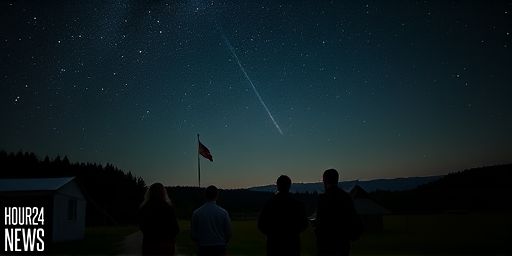 Leonid Meteor Shower to Peak Soon: Bright Fireballs Lighting Up the Night Sky