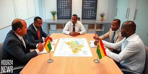 Springfield Takeover Monitor: Independent Valuation Key to Western Cape Block Viability