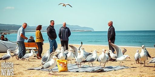 Worth a shout? Why yelling may deter gulls more effectively than retreat at UK beaches