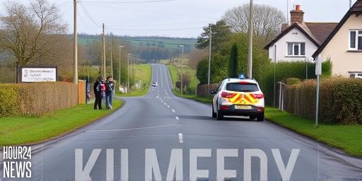 Limerick Fatal Motorcycle Collision: Garda Appeal for Witnesses
