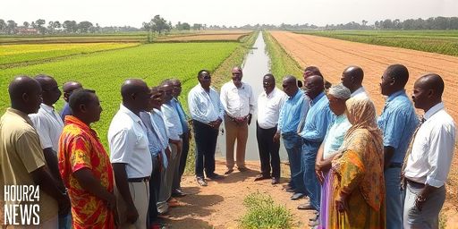 Museveni Commission Achomai Irrigation Scheme: Boosting Rice Farming Safely