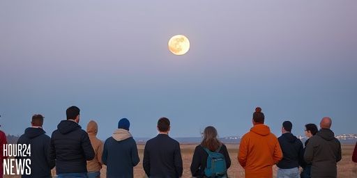 When and How to Watch November’s Closest Supermoon of the Year