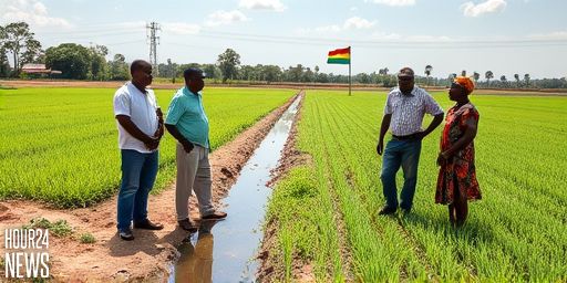 Museveni Inaugurates Shs71 Billion Achomai Irrigation Scheme, Urges Rice Farming on Dry Land