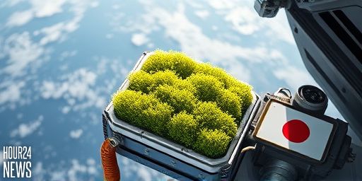 Space-Resilience: Moss Survives 9 Months Outside the ISS, Defying Harsh Space