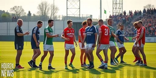 Adrian Mullen Set to Miss Remainder of Ballyhale Shamrocks’ Leinster SHC Campaign