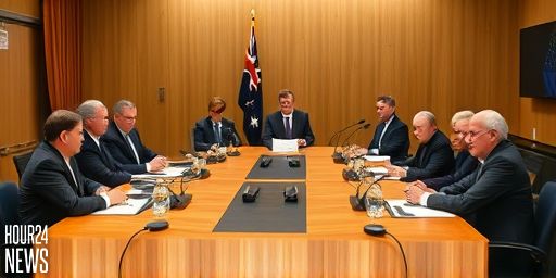 States unite to pressure federal on public hospital funding