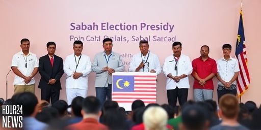 BN fielding heavyweights in Sabah polls but must sell stability, analysts warn