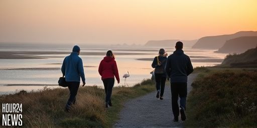 Frankie the Flamingo: Missing After Escape from Cornwall Wildlife Sanctuary