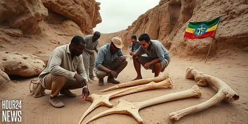 Lucy: The Fossil That Redrew the Timeline of Human Evolution