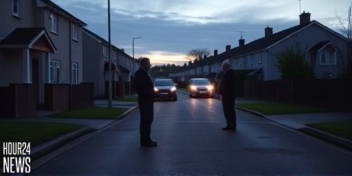 Ballinlough stabbing in Cork: Couple flees attacker