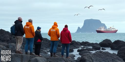 Birds, Not Wind: The Surprising Engine of Life on Iceland’s Youngest Island