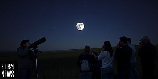 Astronomer Captures Two Meteors Slamming Into the Moon (Video)