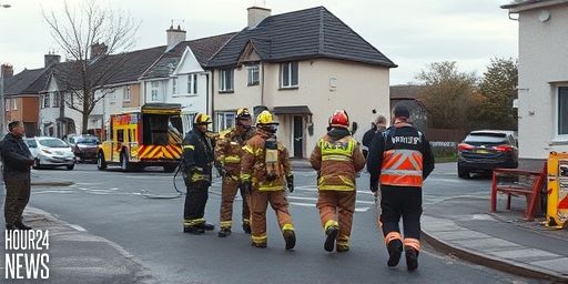 Man in his 60s dies in house fire in Co Cork, sparking safety call