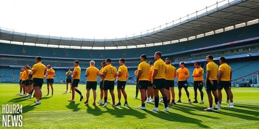 Wallabies seek a win to honor Joe Schmidt in Dublin as JOC returns