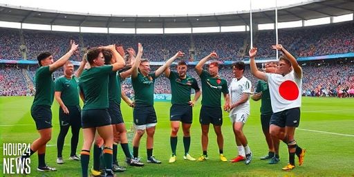 Rassie Erasmus on SA’s 61-7 win over Japan: surprise blowout