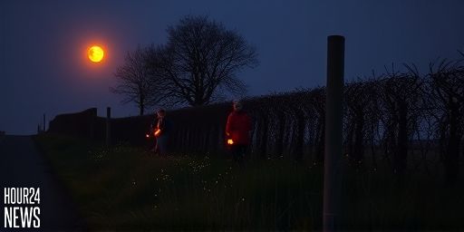 Lights Out: Can We Stop Glow-Worms and Fireflies From Fading Away?