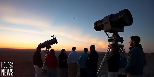 Science News This Week: Solar Storms, Exploding Comets, and Pigs from Hell