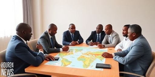 Africa at COP30: Turning mineral wealth into climate power