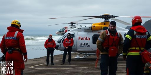 Makara Beach Helicopter Crash: Pilot Airlifted to Wellington Hospital